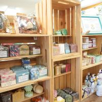 Askins Creek Store — The Avon BP photo